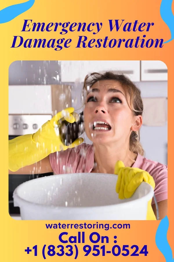 Emergency Water Damage Restoration in Elk River, ID